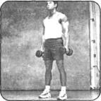 Брунгардт - Идеальные Мышцы Груди И Плечевого Пояса