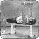 Брунгардт - Идеальные Мышцы Груди И Плечевого Пояса