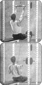 Брунгардт - Идеальные Мышцы Груди И Плечевого Пояса