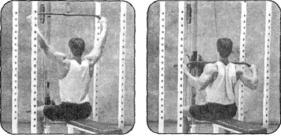 Брунгардт - Идеальные Мышцы Груди И Плечевого Пояса