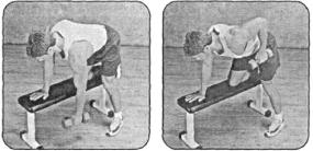 Брунгардт - Идеальные Мышцы Груди И Плечевого Пояса