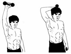 Дмитриев - Атлетизм Без Железа