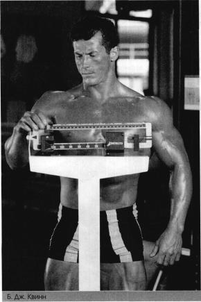 ������� - ����������� - ������ ������� � ��������