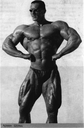 ������� - ����������� - ������ ������� � ��������