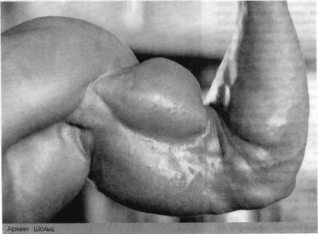 ������� - ����������� - ������ ������� � ��������