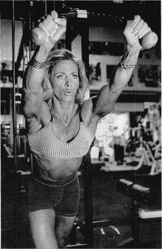 ������� - ����������� - ������ ������� � ��������