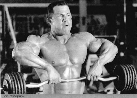 ����� ����� ����������� �������� �������