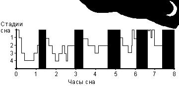 ������ - ����-���������. �����! ��-������. ��� ������������� �� ������