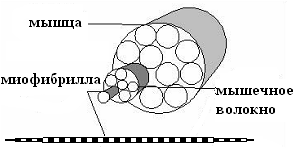 ������ - ����-���������. �����! ��-������. ��� ������������� �� ������