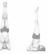 ��������� ��������