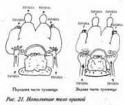 ������ ��� ��������� ������������� �������