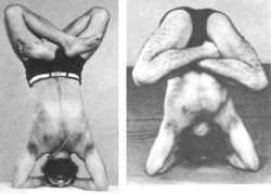 ��������� (������ �� ������)