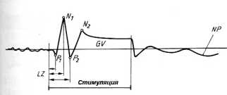 ������������� ���� ��� ���������