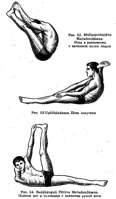 ������������ � ���� �����