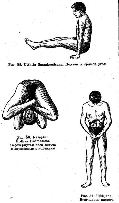 ������������ � ���� �����