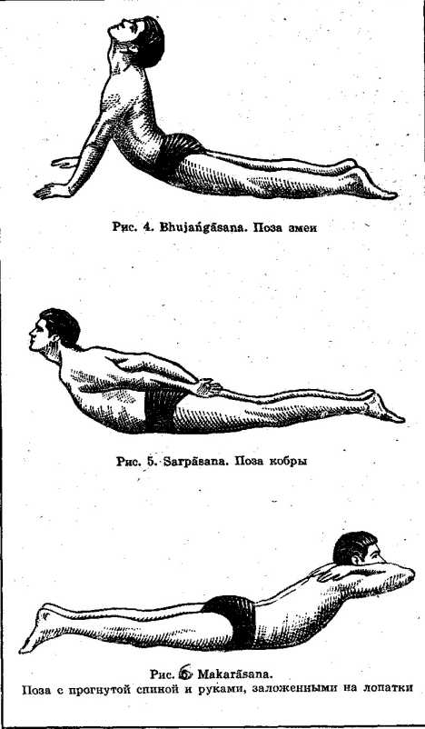 ���� � ����������� ������ �������