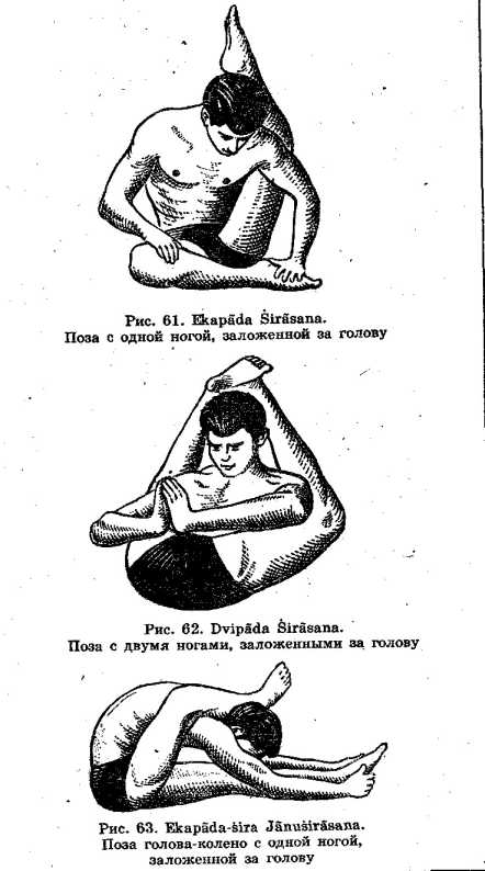 ������ ���� � �������� ������ ���