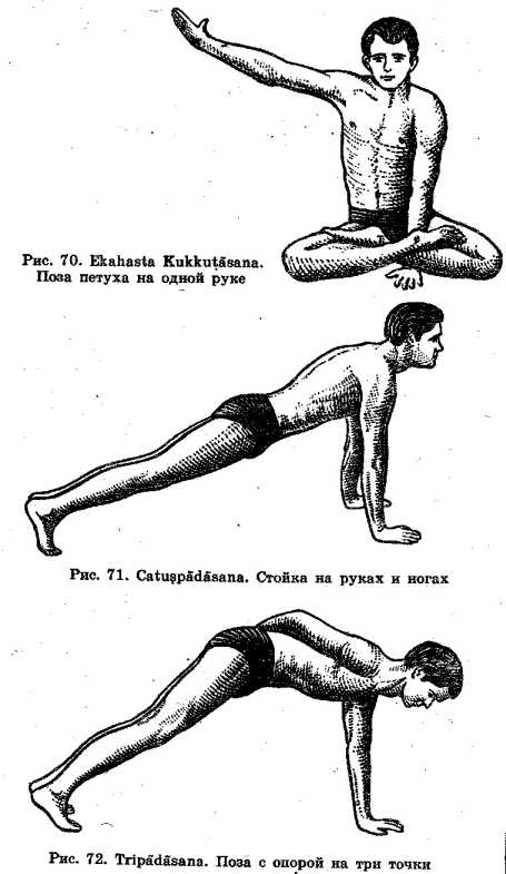 ���� � ������ �� ����������� ���� � ����