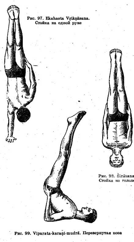 ������������ ����