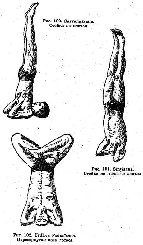 ������������ ����