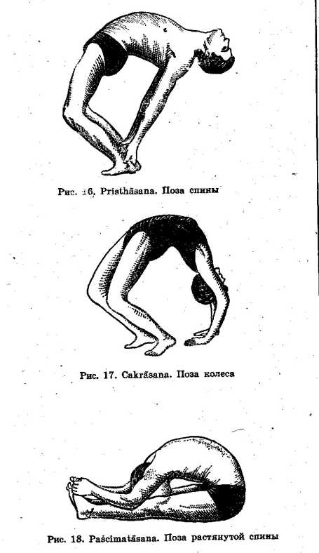 ���� � ����������� ������ �������