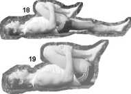 ���� ���������� ������