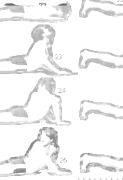 ����������� �� ����.