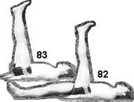 �����-�������� ��������