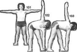 �������� ����������