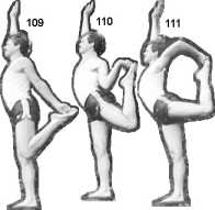 �����-����������