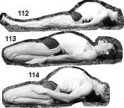 �����-����������