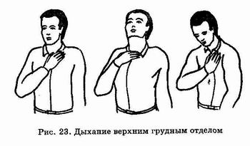 �������� - ������� ������������. �������� �����, ������������� ����