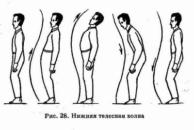 �������� - ������� ������������. �������� �����, ������������� ����