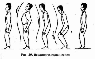 �������� - ������� ������������. �������� �����, ������������� ����