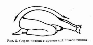 �������� - ������� ������������. �������� �����, ������������� ����