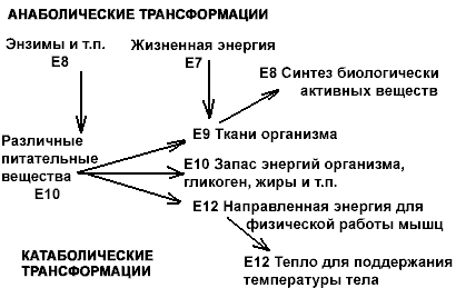 ������� - �������. ������������, ��������� � �����������
