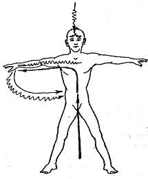 ��������� - �����������. ������� ����������� ��������������������� ��������, 2-� �������