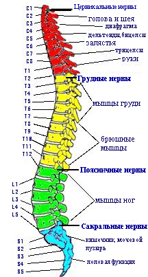 ������� - ����������� �� Usui Reiki