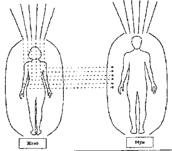 �������� - �������� ����. 7 �������� ���� � ���������