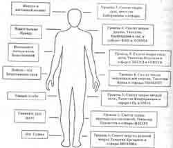 �������� - �������� ����. 7 �������� ���� � ���������