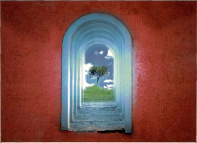 ������� - ������������ ���������������