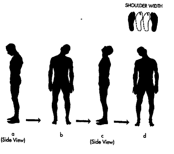 ������� - ������������ ���������������