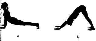 ������� - ������������ ���������������