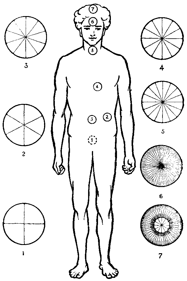 Ледбитер Ч. - Чакры