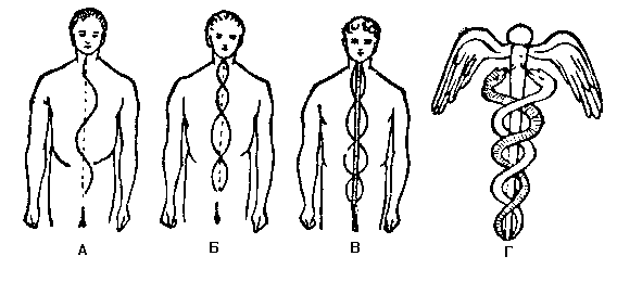 Ледбитер Ч. - Чакры
