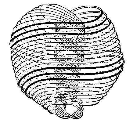 Ледбитер Ч. - Чакры