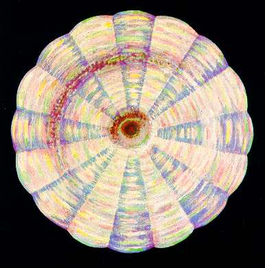 Ледбитер Ч. - Чакры