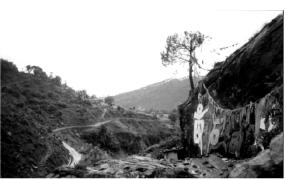 ������ �. - �����, ��� ����� � ������