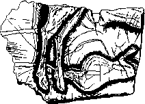 Зубов - История Религий