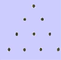 ������ - ������� ��������